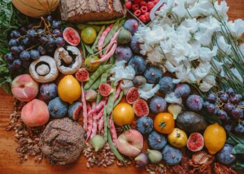 What Is The Primary Function Of The Large Intestine?