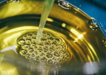 Which Type Of Fat Is Considered The Healthiest For Cooking At High Temperatures?