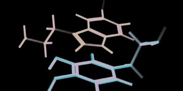 Which Nutrient Is Crucial For Serotonin Production?