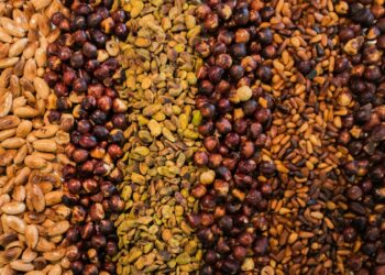 Beans And Nuts Found To Slash Dementia Risk