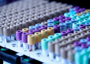 Which Protein Transports Oxygen In The Blood?