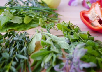 Which Herb Is Commonly Used To Reduce Nausea And Improve Digestion?