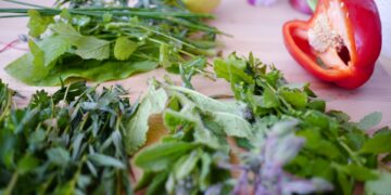 Which Herb Is Commonly Used To Reduce Nausea And Improve Digestion?