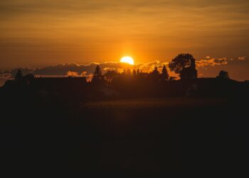 Which Antioxidant Protects The Skin From UV Damage?