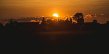 Which Antioxidant Protects The Skin From UV Damage?