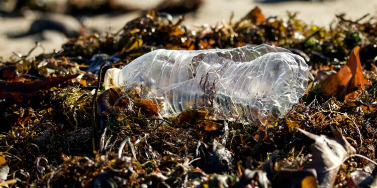 Alarming Study Finds Microplastics Could Be Reaching Brain