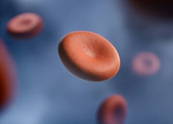 What Is The Primary Function Of Platelets In The Blood?
