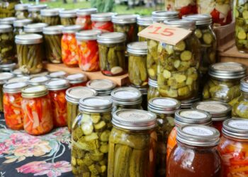 What Term Describes The Health Benefits Of Bacteria In Fermented Foods?