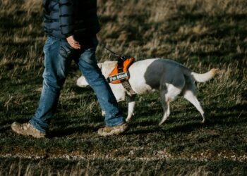 What Is The Most Common Cause Of Preventable Blindness Worldwide?