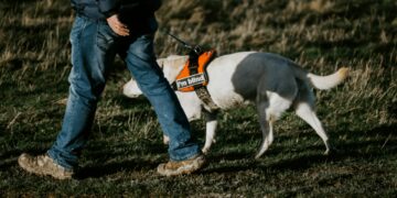 What Is The Most Common Cause Of Preventable Blindness Worldwide?