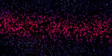 Which Lifestyle Factor Is Linked To Telomere Shortening?