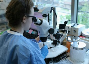 Scientists Identify Genes Triggering Early Menopause