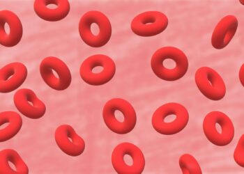 What Is The Average Lifespan Of A Human Red Blood Cell?