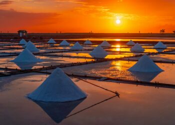 Silent Culprit To Multiple Sclerosis