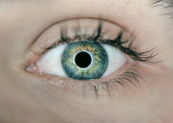 Scientists Take Huge Step Toward Stopping Eye Disorder