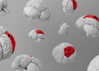 Which Brain Region Controls Voluntary Movements?