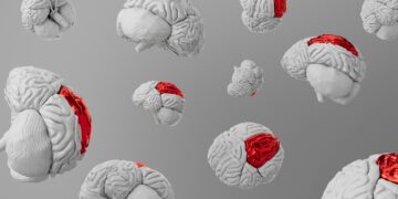 Which Brain Region Controls Voluntary Movements?
