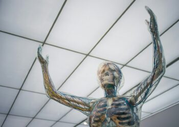 Which Organ Stores And Releases Bile For Fat Digestion?