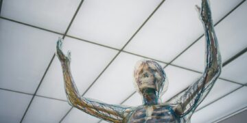 Which Organ Stores And Releases Bile For Fat Digestion?