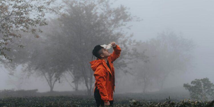 The Answer To Long COVID Brain Fog