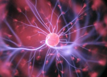 What Compound Is Known As The Body’s “Energy Currency”?