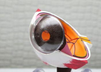 Revolutionary Treatment Targets Vision Loss