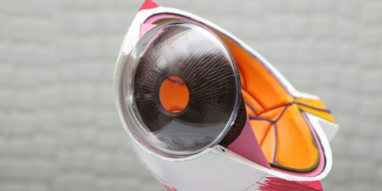 Revolutionary Treatment Targets Vision Loss