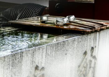 Experts Reveal Water Fluoridation Findings