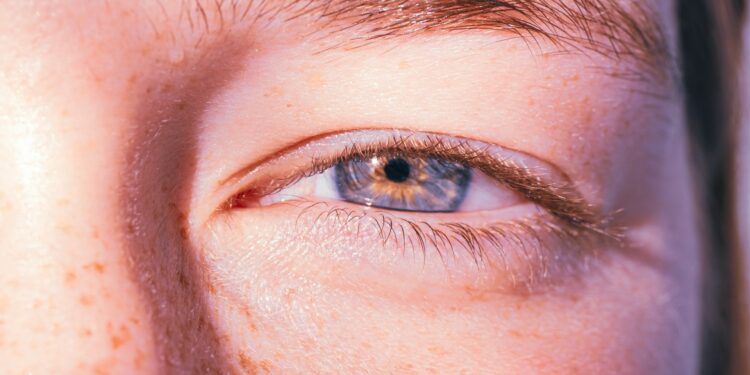 Which Part Of The Eye Contains Rods And Cones?