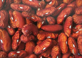 What Is The Main Purpose Of The Glomerulus In The Kidneys?