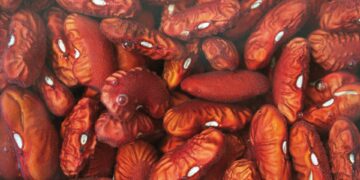 What Is The Main Purpose Of The Glomerulus In The Kidneys?