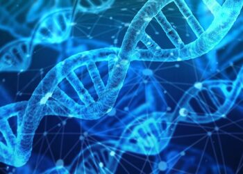 What Is The Primary Structural Difference Between RNA And DNA?