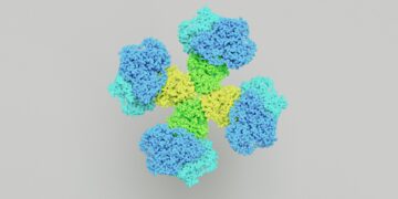 Which Amino Acid Is A Serotonin Precursor?