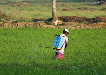 22 Substances Tied To Increase Cancer Risk