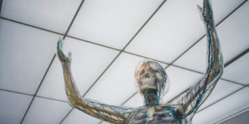 What Is The Primary Function Of The Hormone Parathyroid Hormone (PTH)?