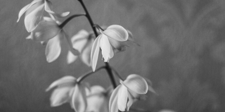 Scientists Pinpoint Potential Miscarriage Culprit