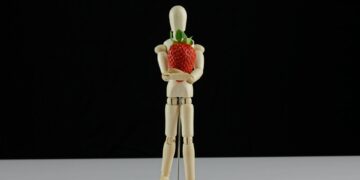 What Is The Primary Role Of HDL In The Body?