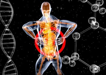 What Hormone Triggers Gastric Acid Release During Digestion?