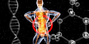 What Hormone Triggers Gastric Acid Release During Digestion?