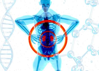 What Is The Primary Function Of The Kidneys In Acid-Base Balance?