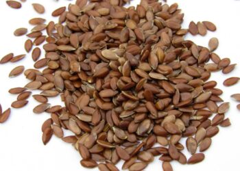 Which Essential Fatty Acid In Flaxseeds Supports Brain Health?