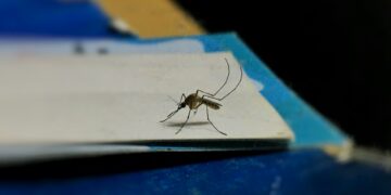 Life-Saving Drug Losing Power To Protect Children