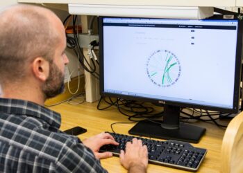 What Is The Primary Function Of The Hormone Glucagon?