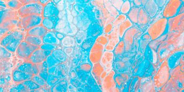 Which Cell Type In The Skin Acts As A Sensory Receptor For Touch?