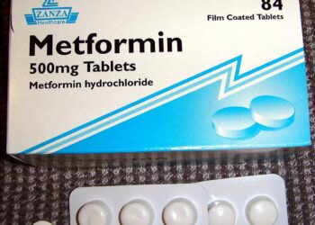 What Is Metformin’s Effect On Lifespan?