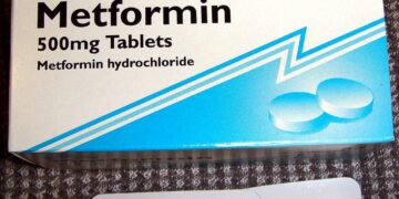 What Is Metformin’s Effect On Lifespan?
