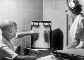 What Is The Key Function Of Nitric Oxide In The Cardiovascular System?