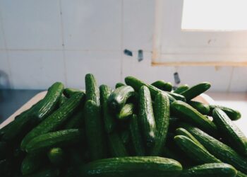 Salmonella Outbreak Prompts Massive Fruit Recall