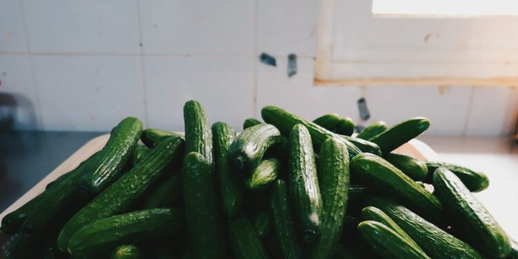 Salmonella Outbreak Prompts Massive Fruit Recall