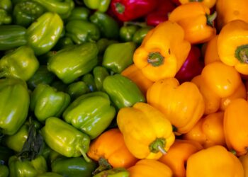 Which Diet Promotes Longevity In “Blue Zones”?